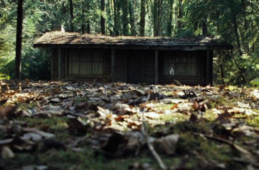 cabin in the woods trailer