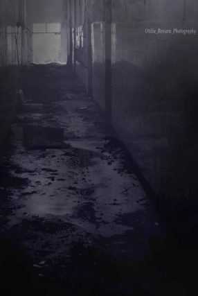 o